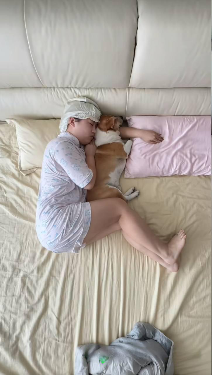 抖音400w粉女网红树莓人设塌房 弃养小动物出轨 私下性爱视频被曝光!